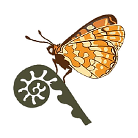 Butterfly Icon (LNRS)