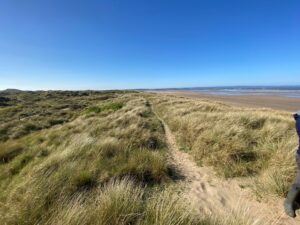 Vast sand dunes with marram grass at Braunton Burrows with a view out to the sea and beach