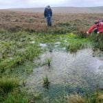 Devon Dragonfly Group trip to see the restoration of pools on Dartmoor