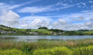 A large body of water is pictured in front of rolling green hills with houses visible near the shore and reeds just in front of the waer.