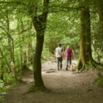 Visitors walking through woodland at Parke, Devon.