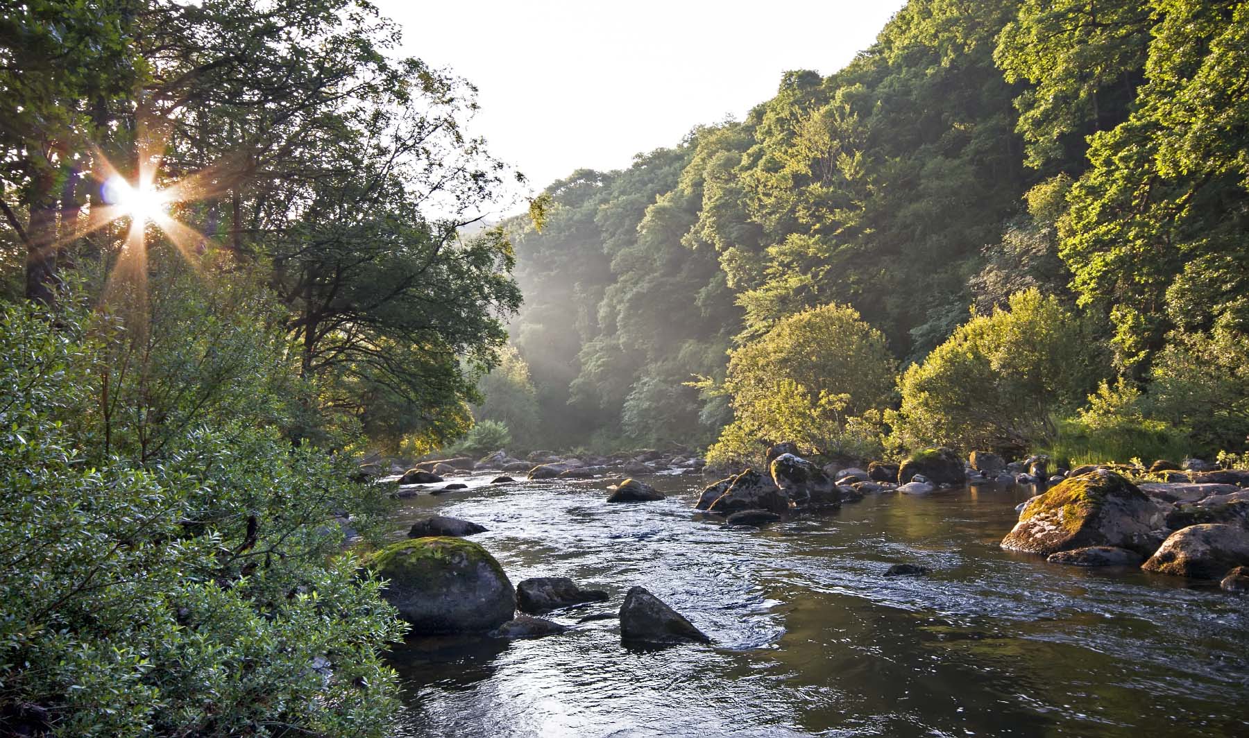 Landscape of the River Dart under a setting sun. The rock-filled river runs through the centre of the shot with steep thickly wooded valleys either side.