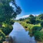 Blue skies. Bright green trees and plants line a river.
