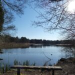 A clear sunny day, with a lake reflecting the sky. There is a bench in the foreground, and trees surrounding the edge of the lake.