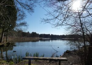A clear sunny day, with a lake reflecting the sky. There is a bench in the foreground, and trees surrounding the edge of the lake.