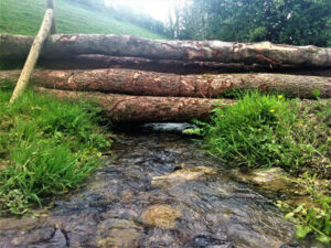 Logs across a small stream