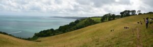 A landscape view of a field curving steeply down towards the sea.