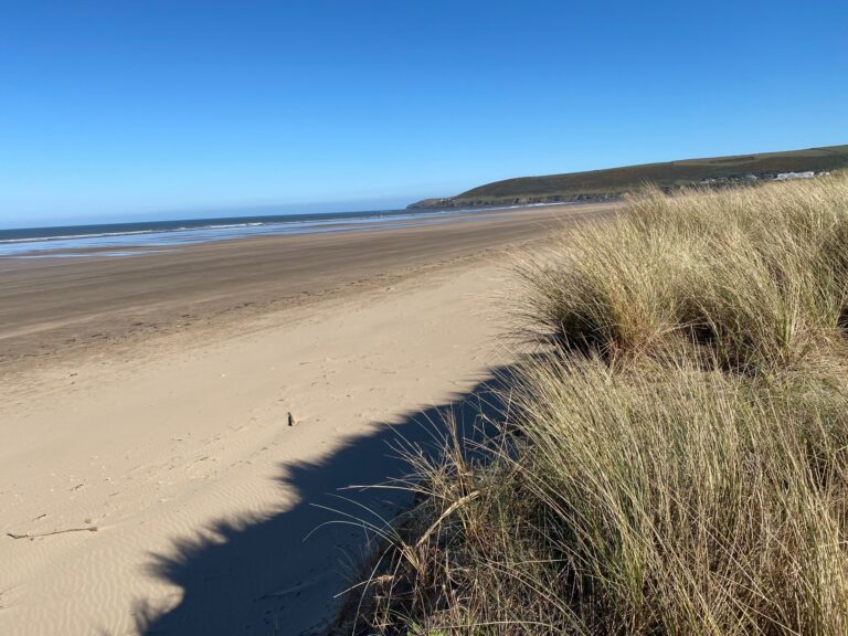 Vast sandy beach with marram grass
