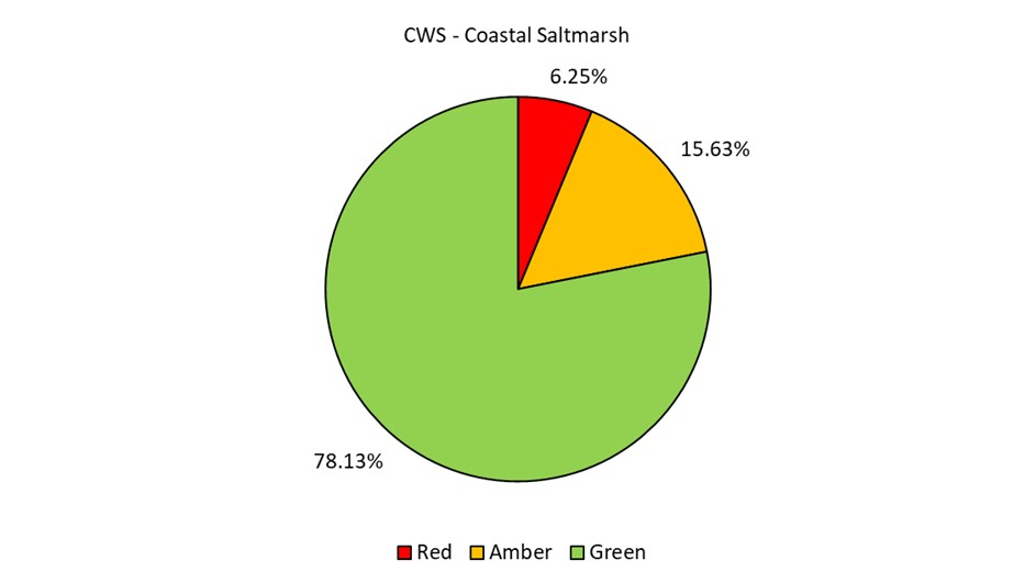 A pie chart showing the condition of Coastal Saltmarsh in CWS in Devon (data explained in text).