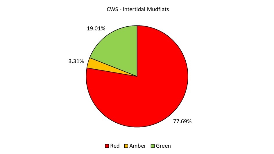 A pie chart showing the condition of Intertidal Mudflats in CWS in Devon (data explained in text).
