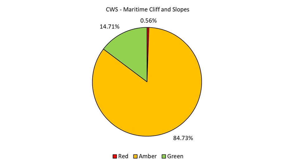 A pie chart showing the condition of Maritime Cliff and Slopes in CWS in Devon (data explained in text).