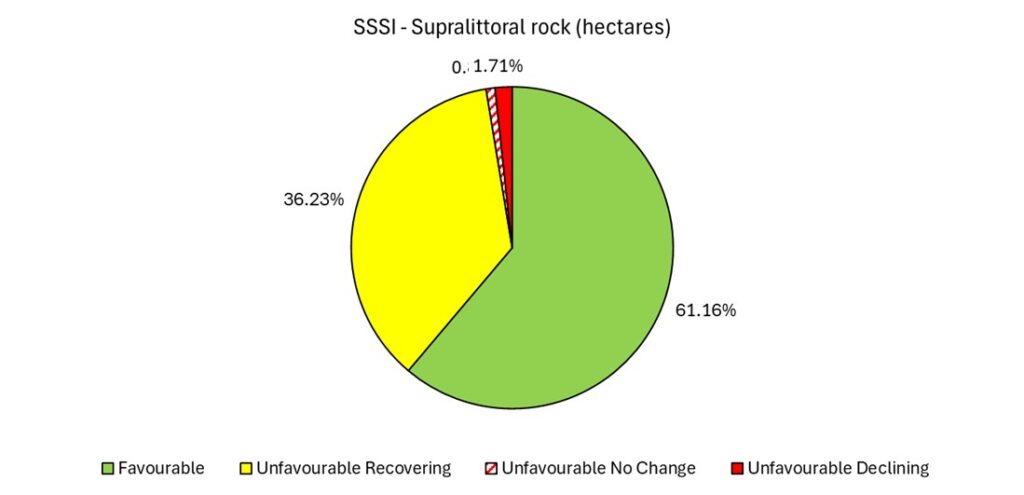 A pie chart showing the condition of Supralittoral rock in SSSIs in Devon (data explained in text).