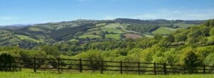 Landscape view of Duryard valley. Rolling hills with fields and woodlands can be seen under a blue sky.