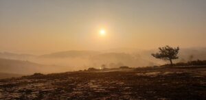Landscape shot of a misty sunrise over the heathland with hills and valleys partially visible through the morning mist.