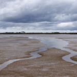 Mudflats in an estuary.