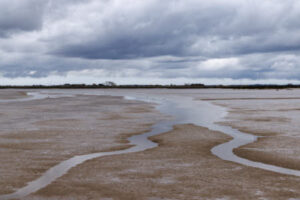 Mudflats in an estuary.