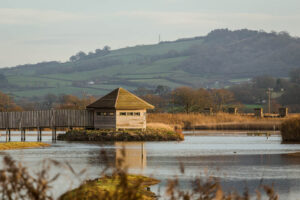Seaton wetlands, Wild East Devon