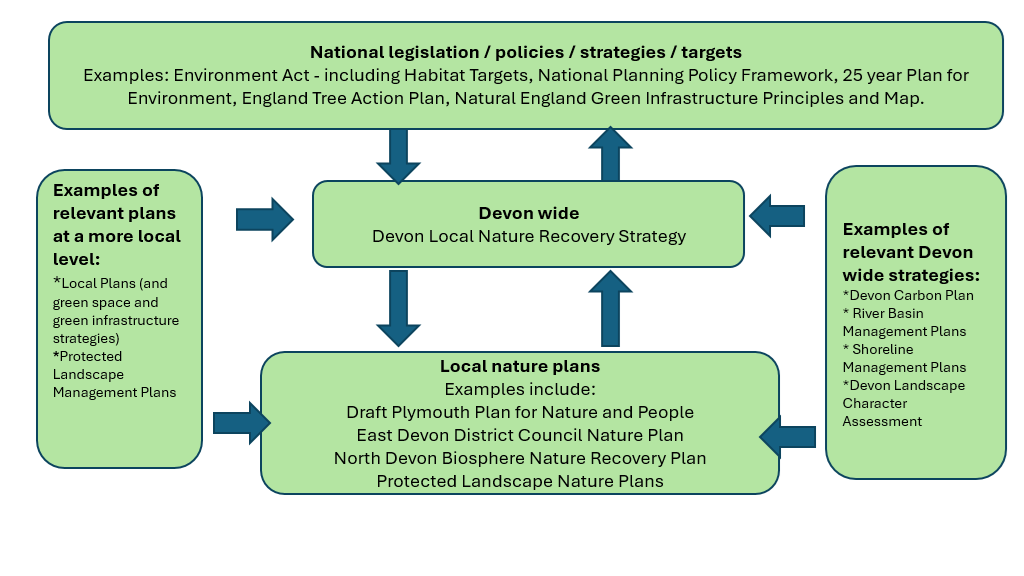Infographic showing how this strategy fits with others at national and local levels.