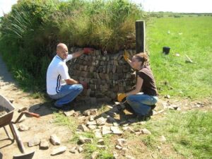 Two people helping to build a stone wall and a hedge on top.
