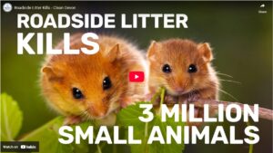 litter kills campaign