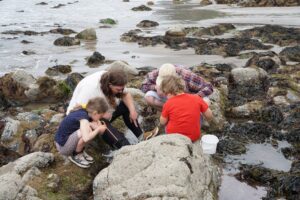 Three children and one adult look into a rockpool on a sandy beach.